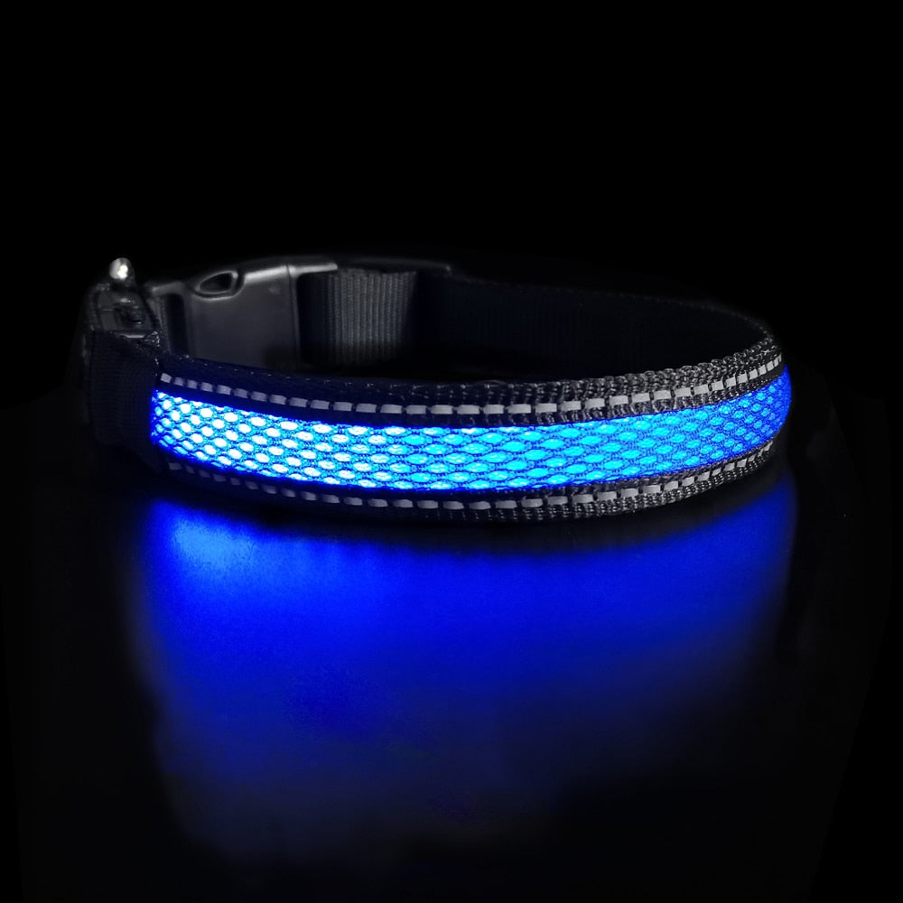 Nylon Dog Collar Flash Night Safety LED Glow Waterproof - optionsgaloreonlinestore