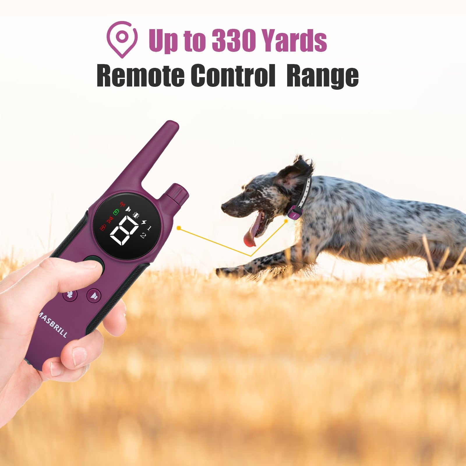 Electric Dog Training Collar Remote Control - optionsgaloreonlinestore