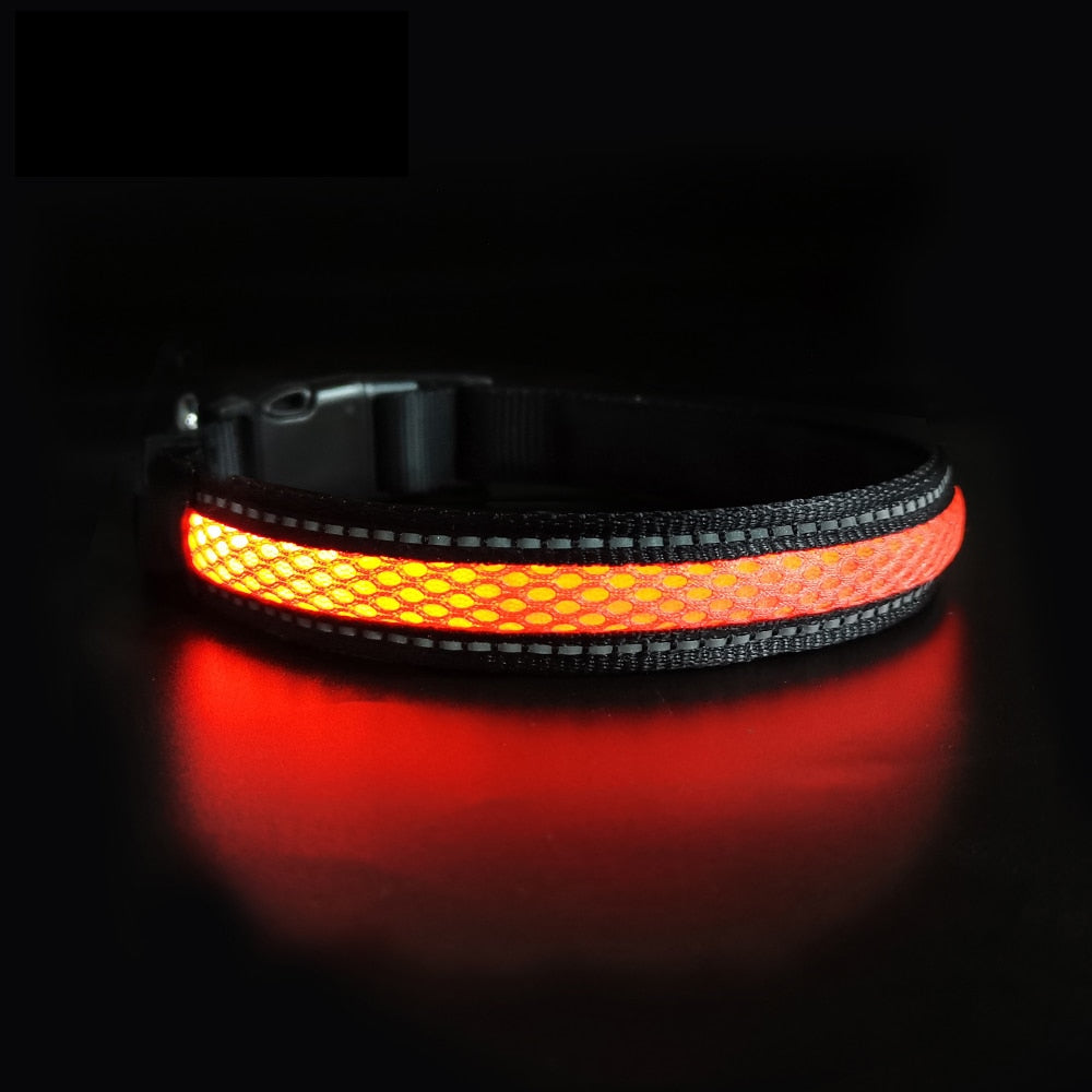 Nylon Dog Collar Flash Night Safety LED Glow Waterproof - optionsgaloreonlinestore