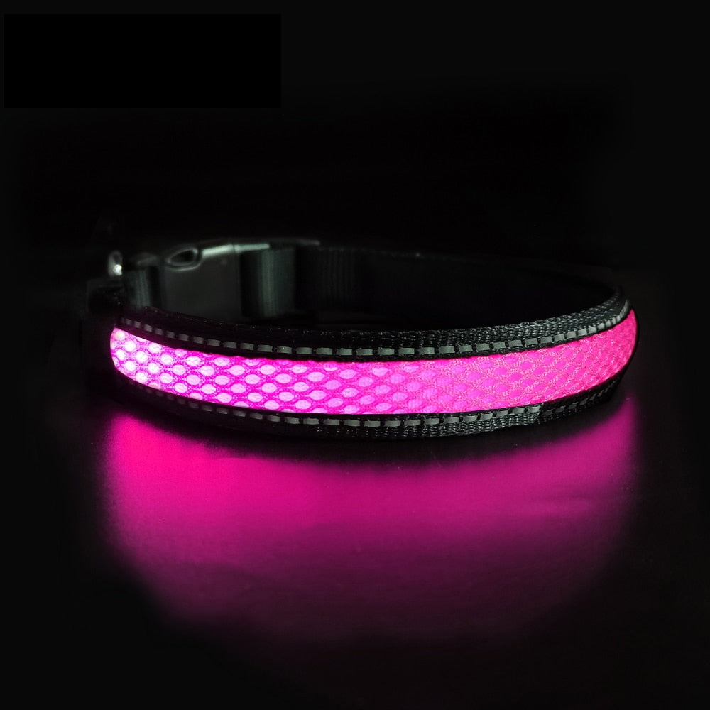 Nylon Dog Collar Flash Night Safety LED Glow Waterproof - optionsgaloreonlinestore