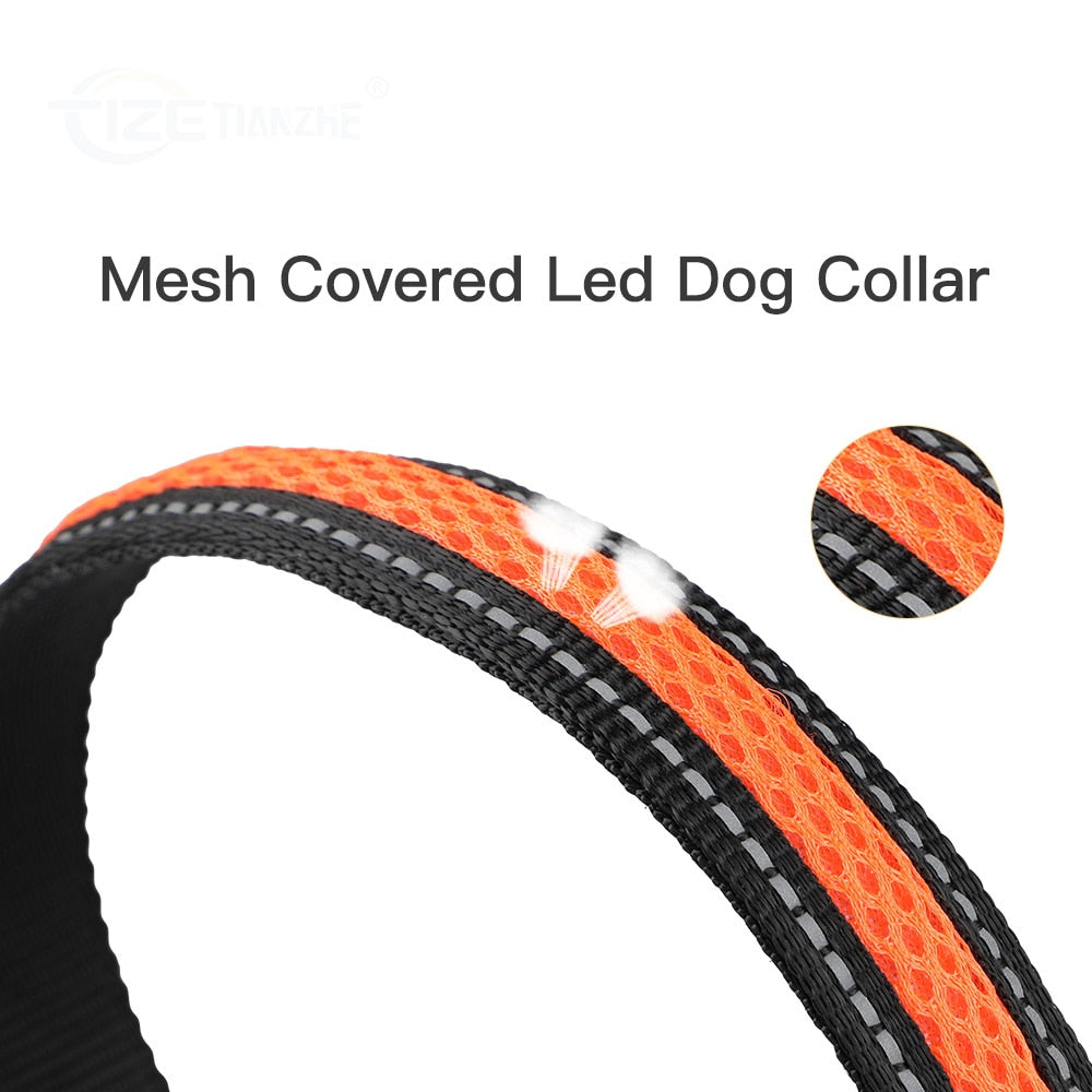 Nylon Dog Collar Flash Night Safety LED Glow Waterproof - optionsgaloreonlinestore