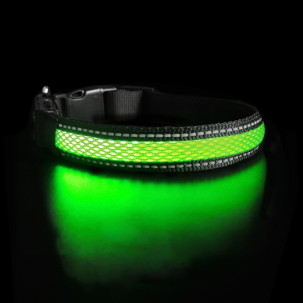 Nylon Dog Collar Flash Night Safety LED Glow Waterproof - optionsgaloreonlinestore