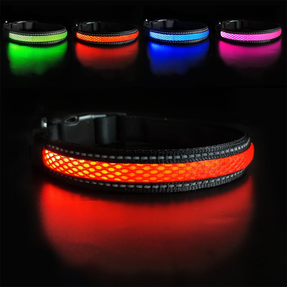 Nylon Dog Collar Flash Night Safety LED Glow Waterproof - optionsgaloreonlinestore