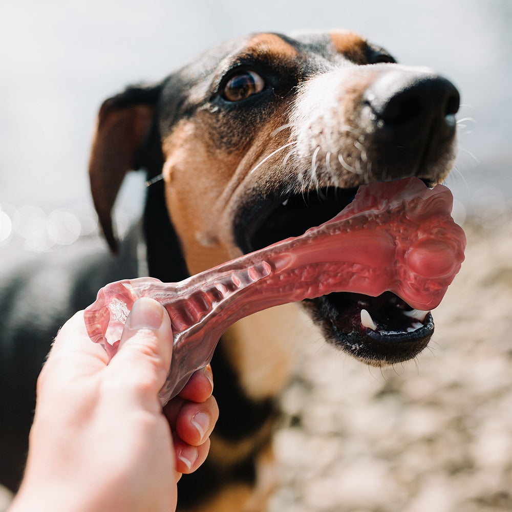 Interactive Dog Toys Teeth Cleaning - optionsgaloreonlinestore