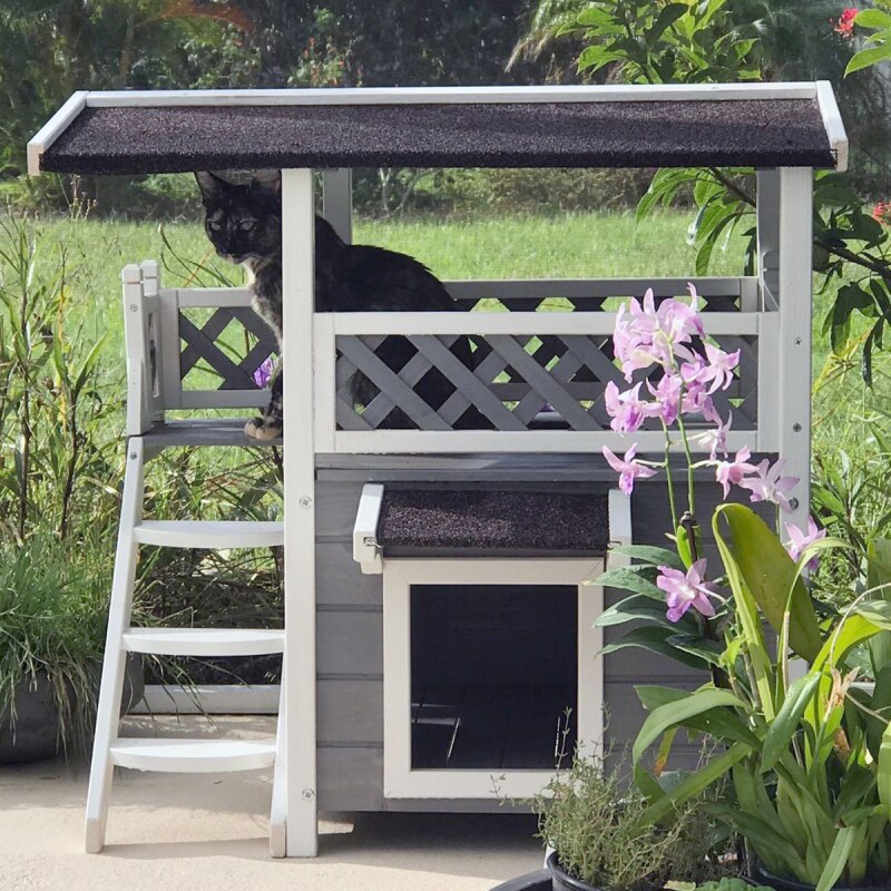 Cat House for Outdoors Weatherproof with Escape Door