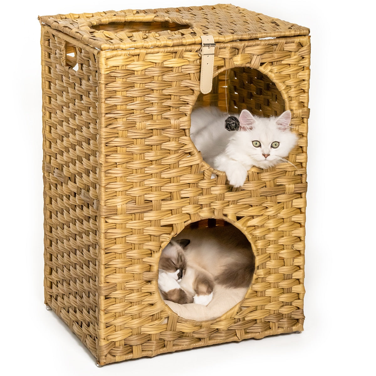 Outdoor Sturdy Large Cat Furniture Cages with Cushion US Stock